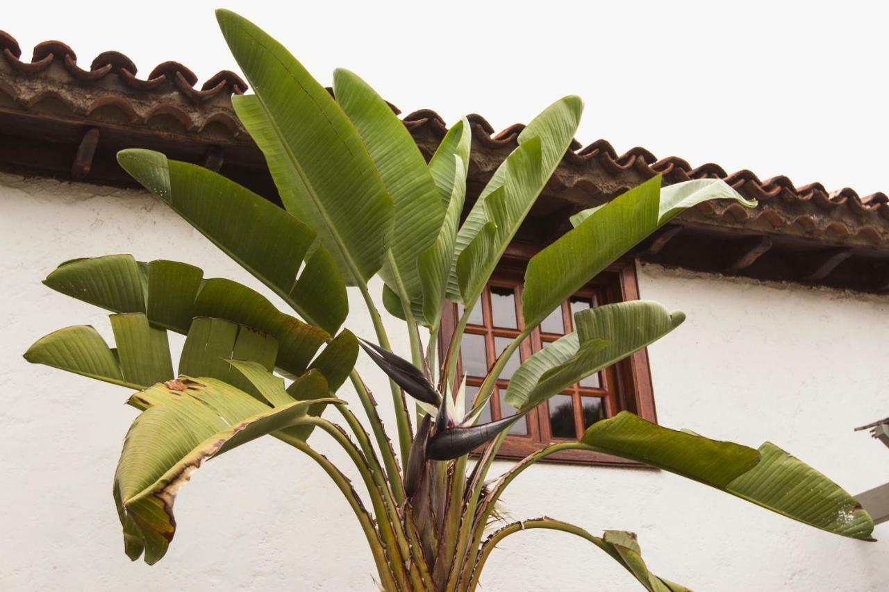 Hacienda Cuatro Ventanas Vila Los Realejos Exterior foto